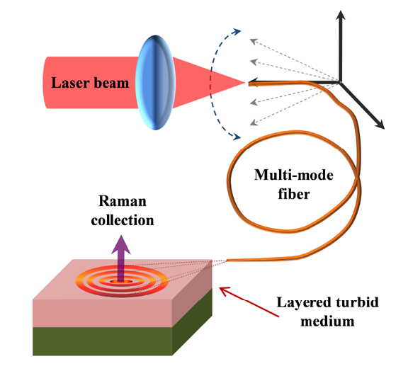 Schematics of the multi-mode optical fiber based inverse SORS system. Ref: Journal of Biophotonics, 12(11), 2019. https://doi.org/10.1002/jbio.201900140