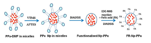 Schematic depiction of synthesis of plain and folic acid conjugated ORMOSIL entrapping PPa, for anticancer application.