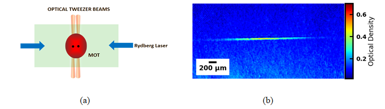 Fig. 3. (a) Schematic of the two qubits C-NOT gate preparation and (b) present status of atoms trapped in an optical tweezer operating at wavelength 811 nm.