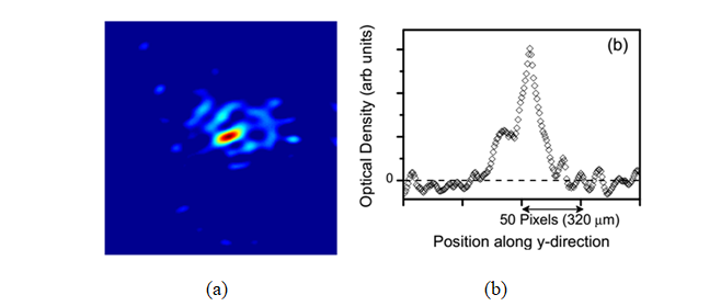 Figure 4: (a) An observed image and (b) spatial profile of optical density of an ultracold atom-cloud with Bose-Einstein condensate at the center.