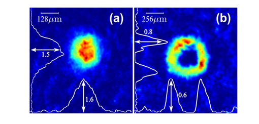 Figure 7: Image of atom cloud in (a) quadrupole magnetic trap and (b) RF-dressed shell trap.